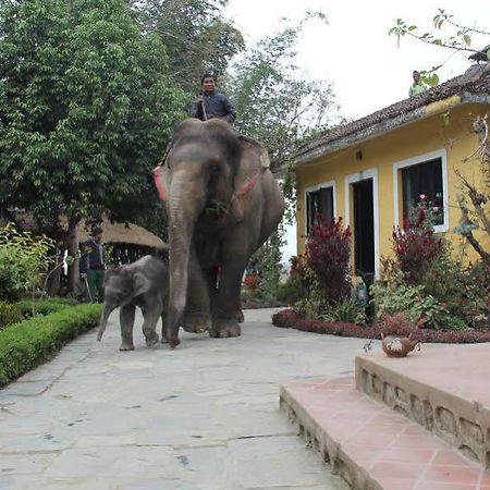 Hotel Sapana Village Lodge Chitwan Eksteriør billede